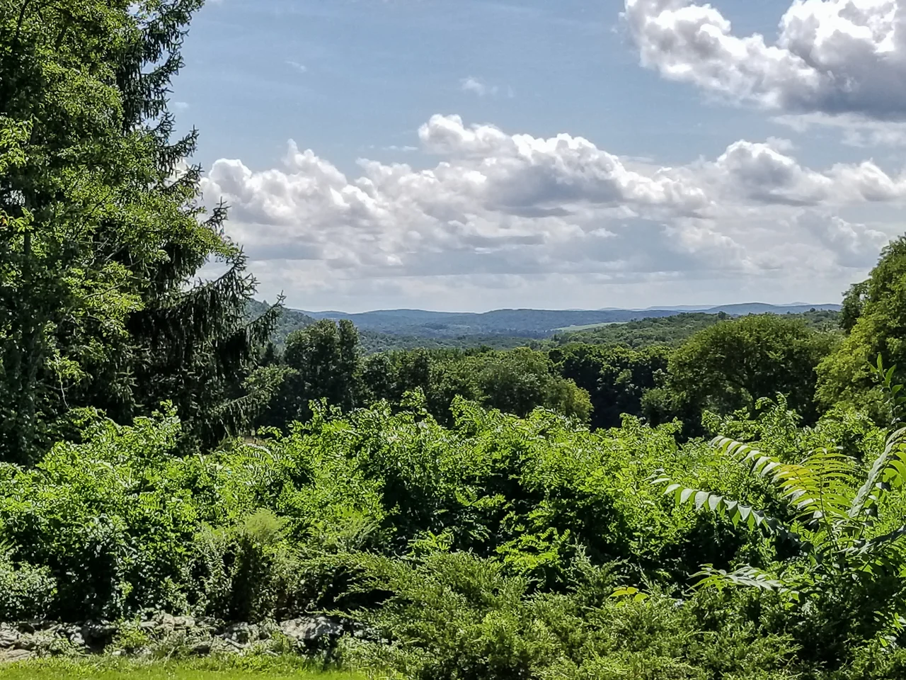 Wing rd view.52.jpg