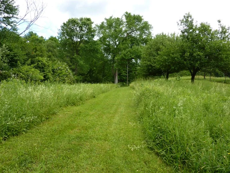 Somnolet 088.jpg