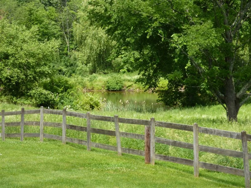 Somnolet 071.jpg