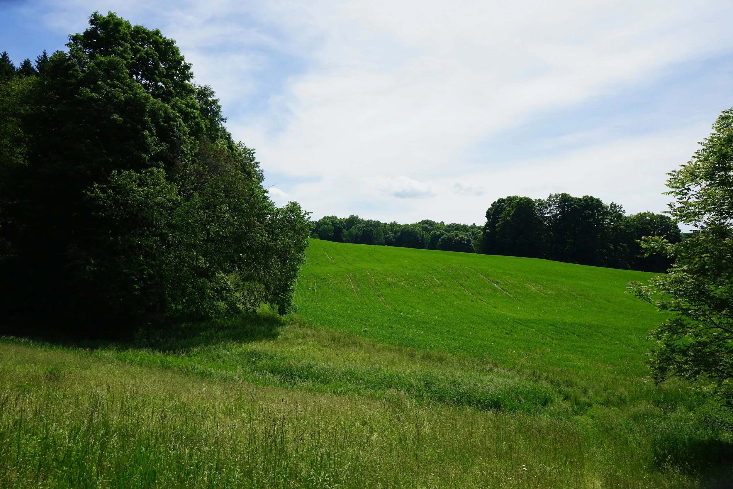 DSC02083.jpeg