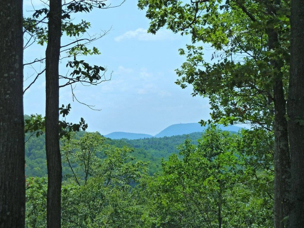 4-Stissing Mountain View.jpg