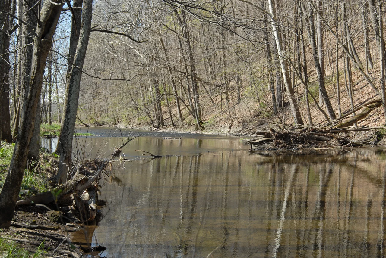 Organic Land with Wappinger's Creek