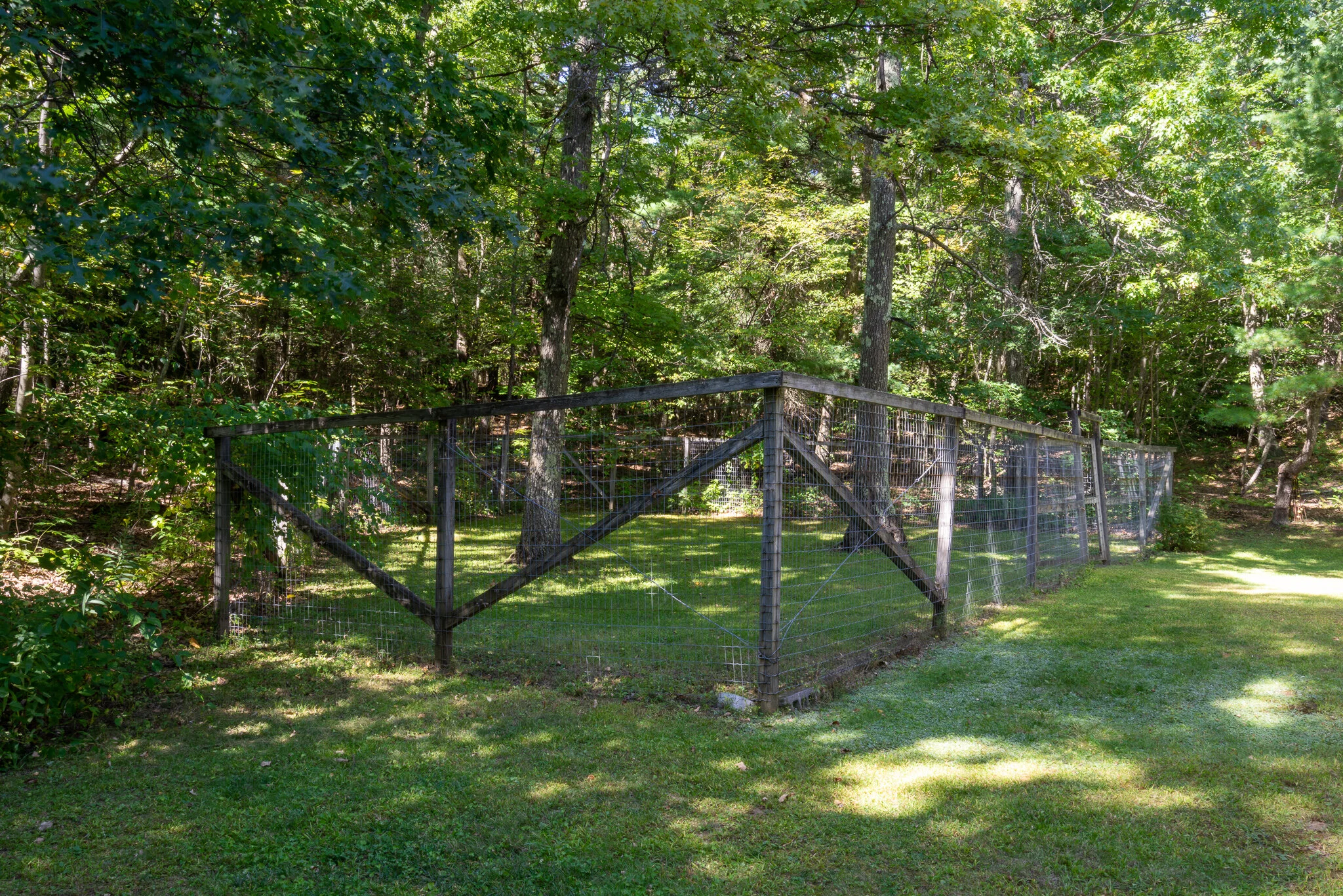 6_DSC9180.jpg