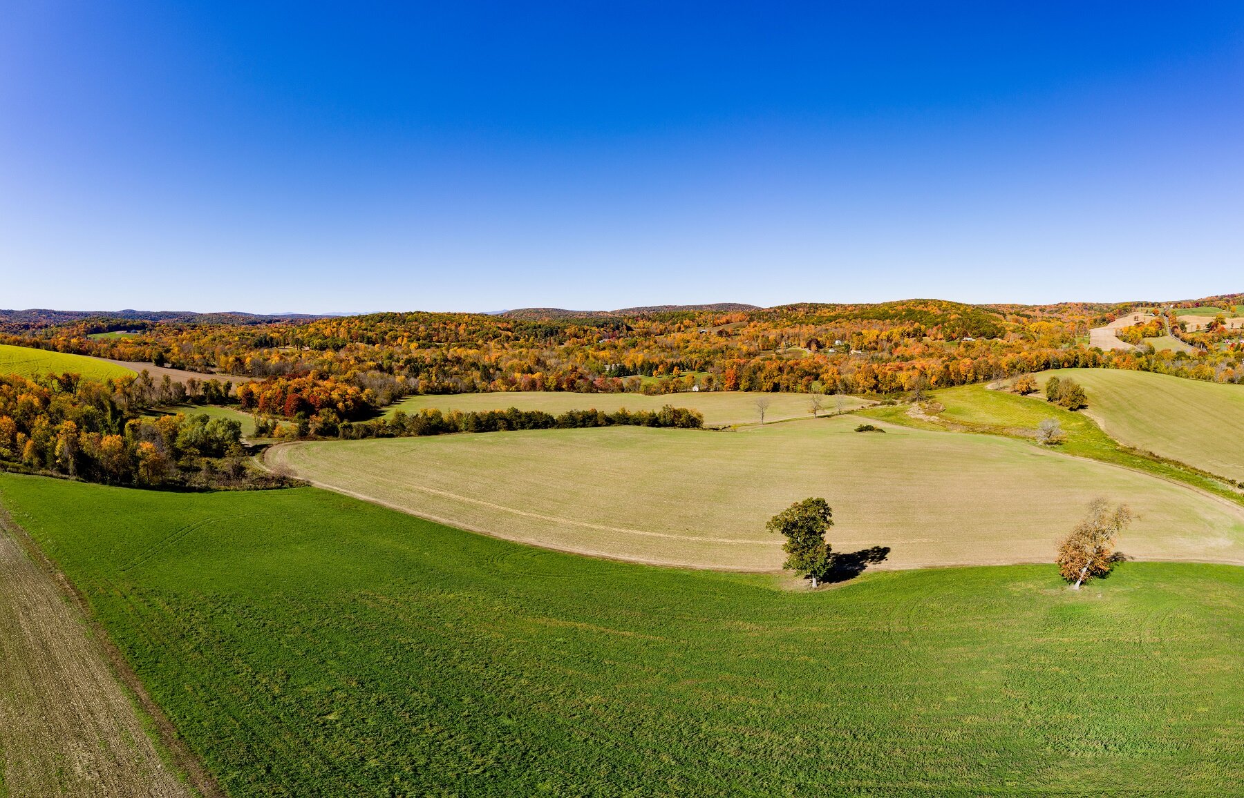 MH-001-Pano.jpg