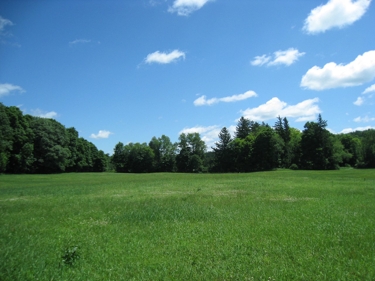 ericson_3806.jpg