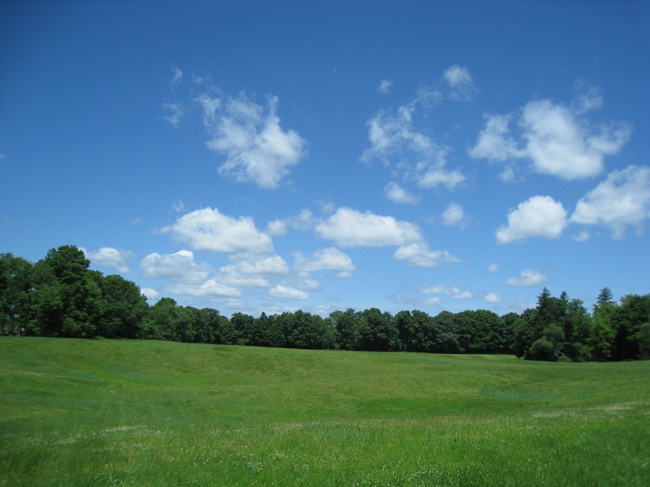 IMG_3809.jpg