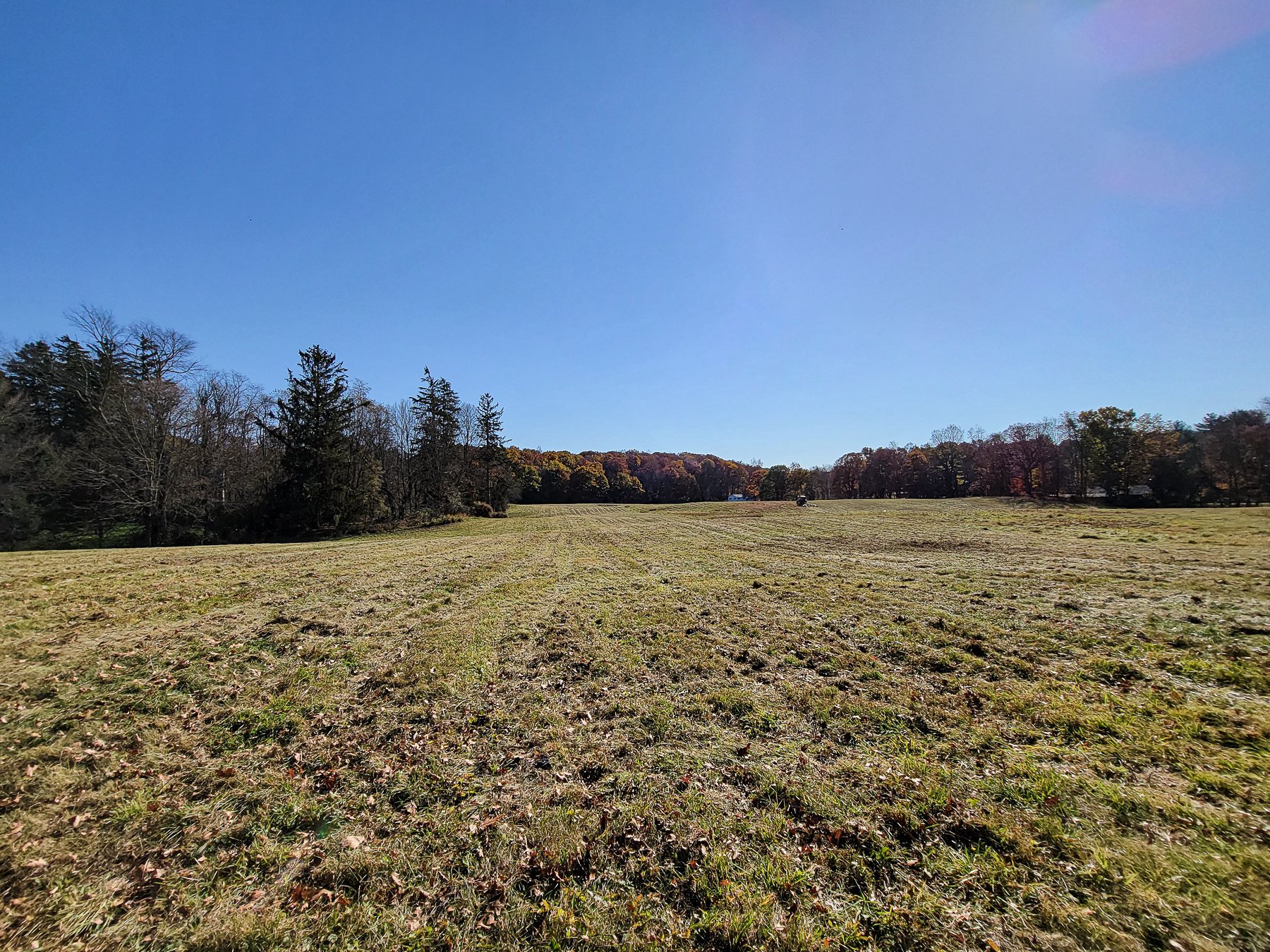 2021-11-09 11.46.25.jpg