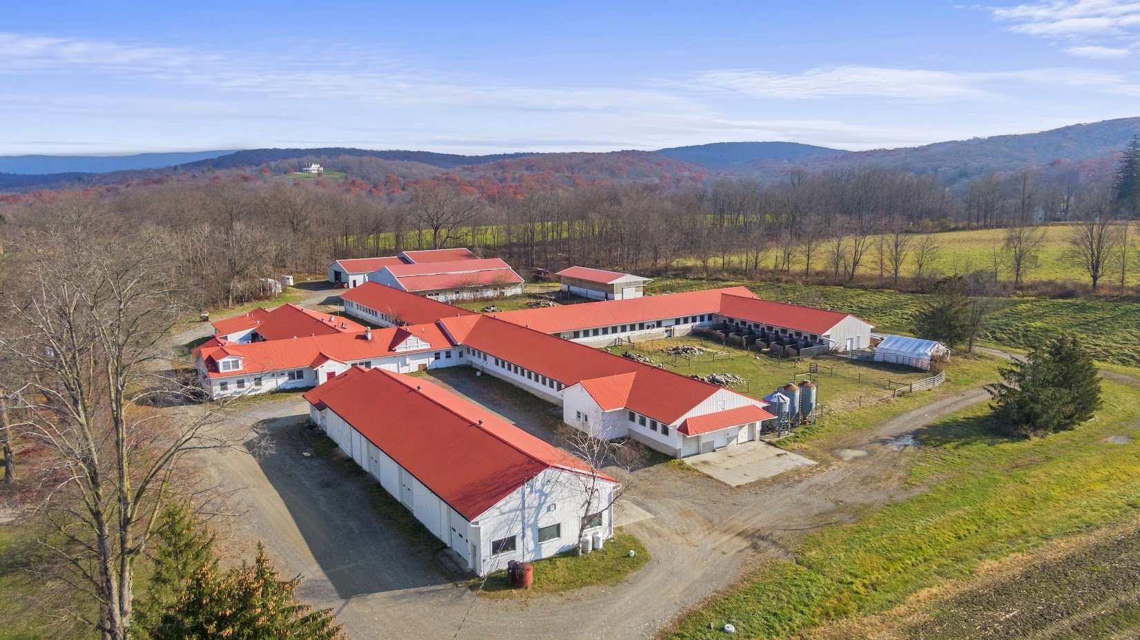 DJI_0950.jpg