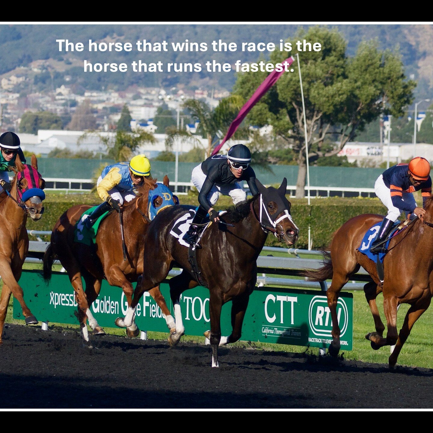 Seems obvious - but think carefully about this statement. The horse doesn't care about how many races it has or hasn't won before. The horse doesn't care about how many races the other horses have or haven't won before. The horse doesn't think about 