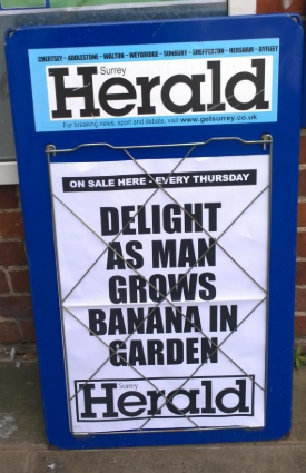 How to write brilliant blog titles with 3 simple tips