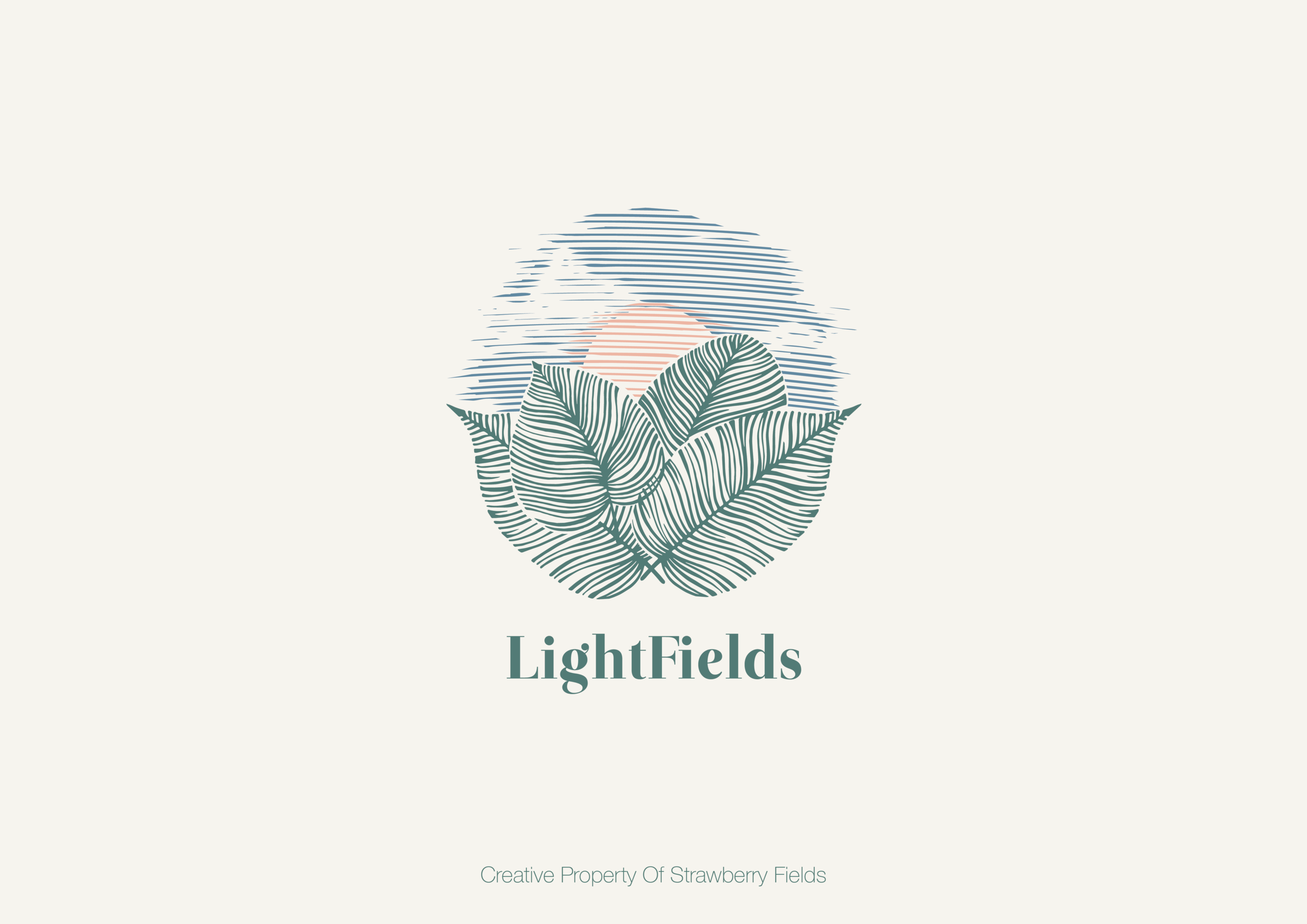 LIGHTFIELDS PROPOSAL - 02-03.png