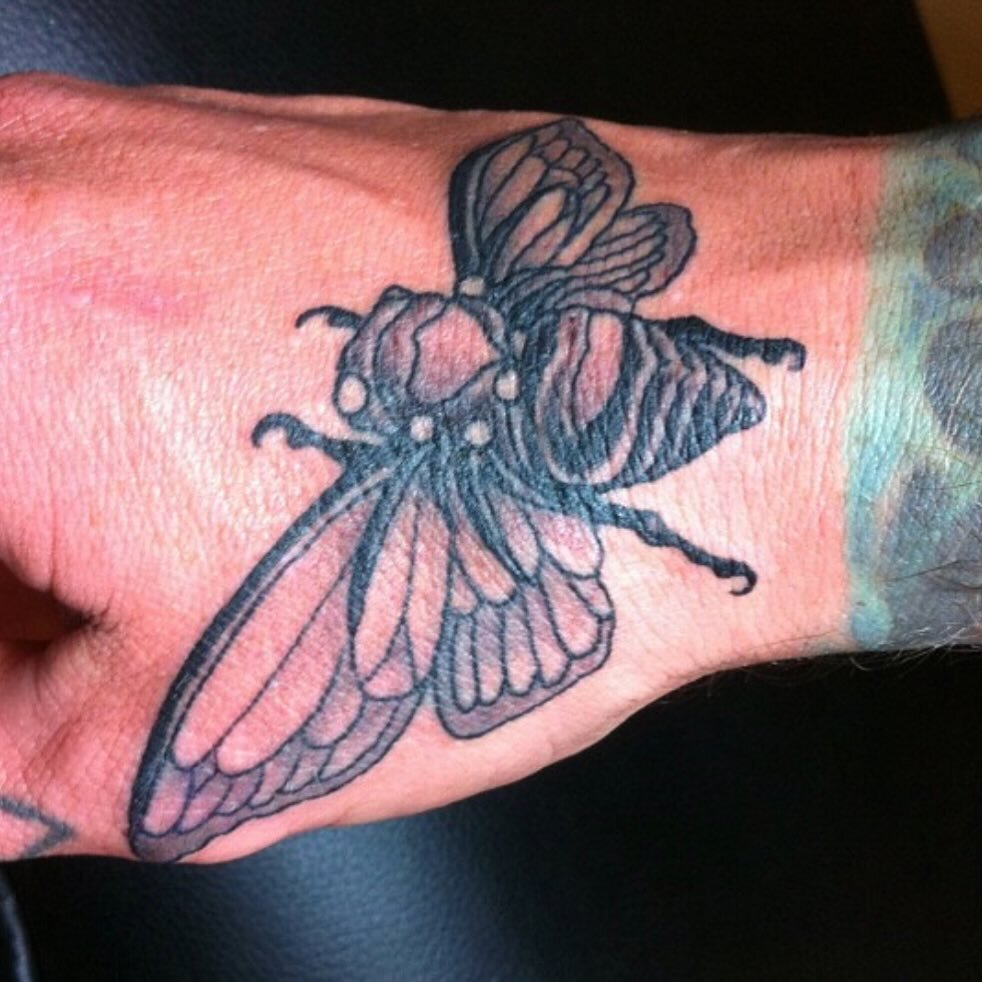 Cicada by @paulboschtattoo Walk-ins and appointments 12-8 Mon-Sat @twosonstattoo