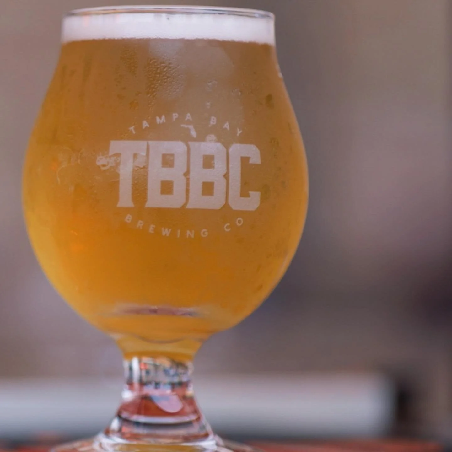 Another day of filming in the books!

Head Brewer at @tbbco Doug Clark, shared TBBC&rsquo;s long history of #craftbeer in Tampa Bay.

We also toured the Westchase facility and got to see/learn about the ingredients that go into beer, the canning proc