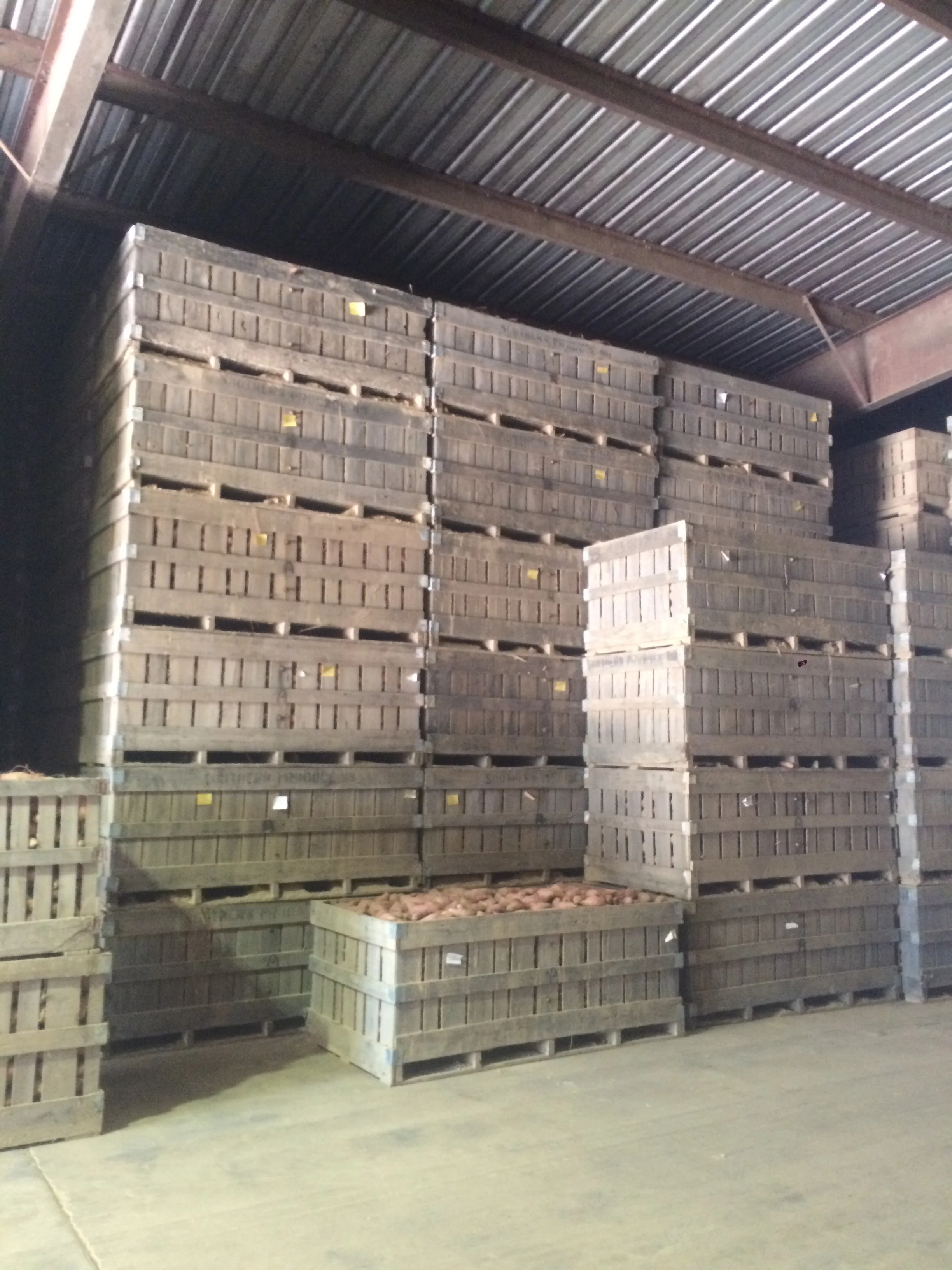  This is what our storage bins look like inside of the storage sheds.  