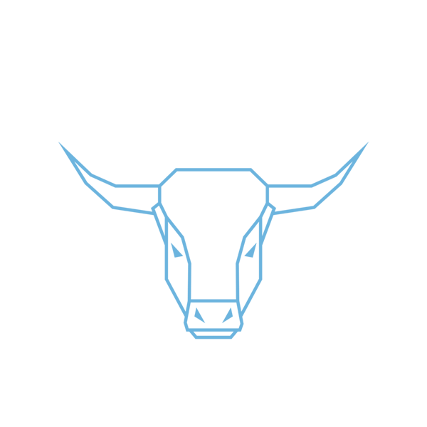 BlueOx_Logo_Full_fullcolor1.png
