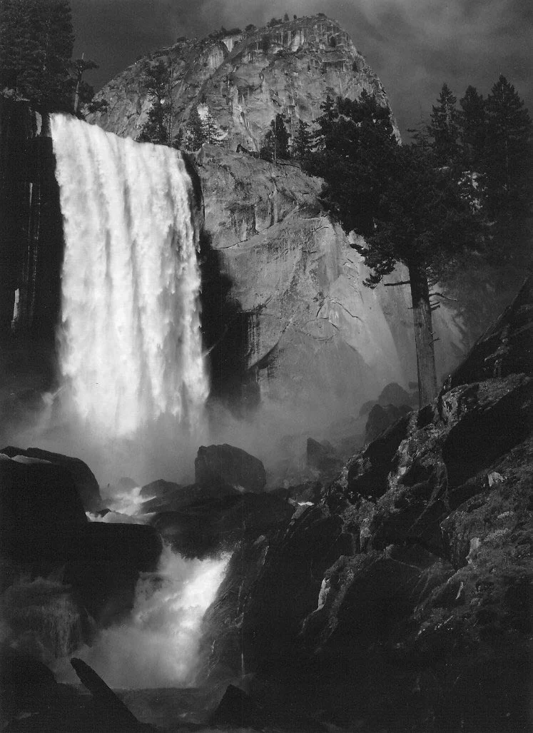 Waterfall and tree