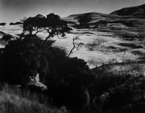 Hills and meadows landscape