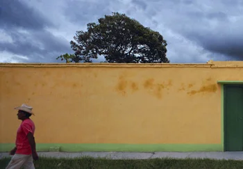 man walking past tall orange wall with tree behind it