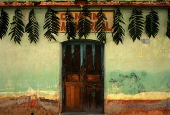 Vantina Entrance with palm fronds hanging from roofline