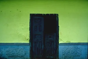 navy blue door on lime green and teal wall