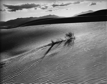 Sand Dunes