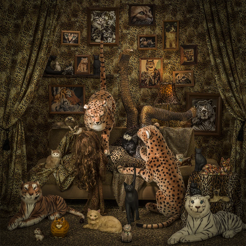 busy patterned staging of animal patterns model stuffed cats