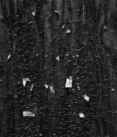 surface of wooded board with hundreds of staples from past use