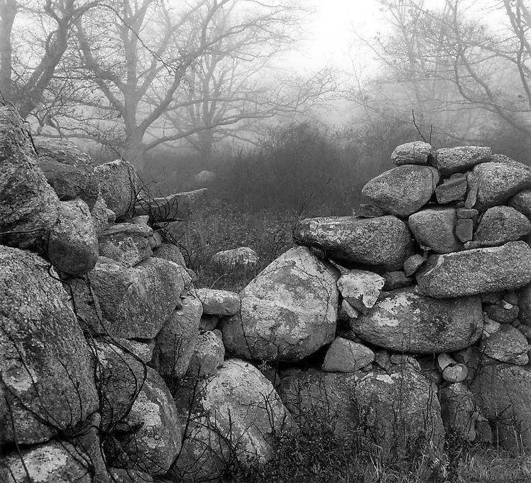 stone wall mist forest