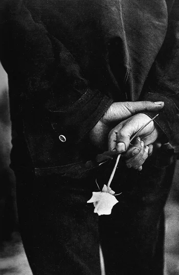 man holding rose limply behind back