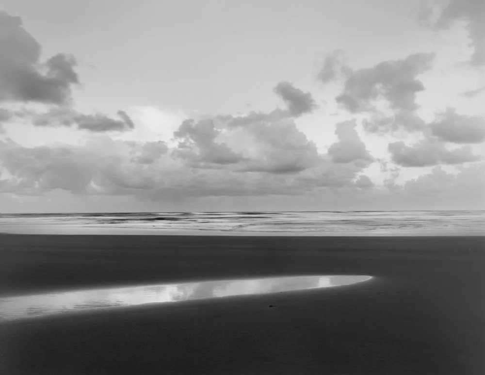 seascape beach low tide