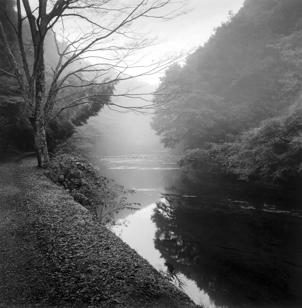 river in wooded valley