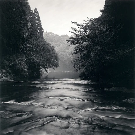 river passing through forest