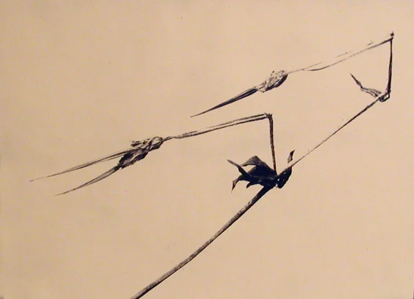 abstract plant photo art