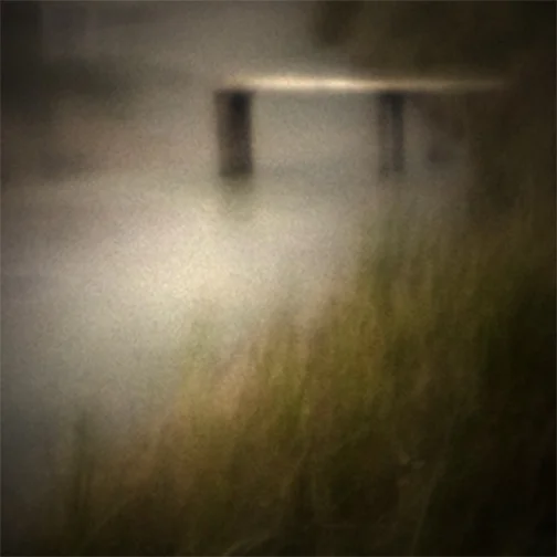 marsh bridge fog
