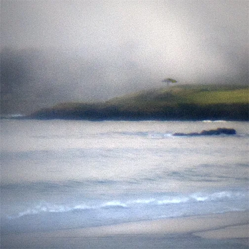 beachscape distant tree in fog