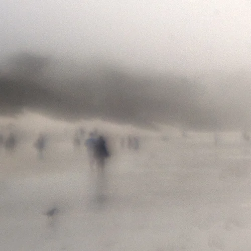 beachscape people bird
