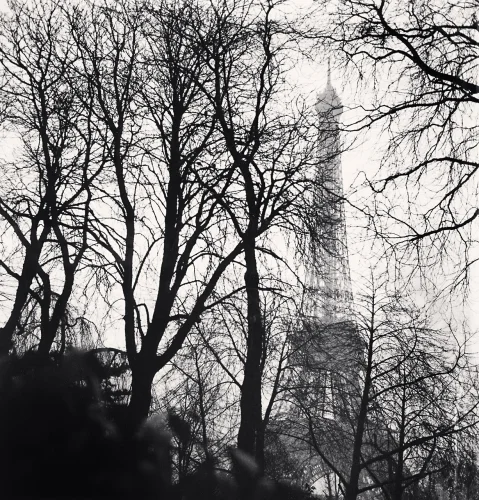 tower behind winter trees