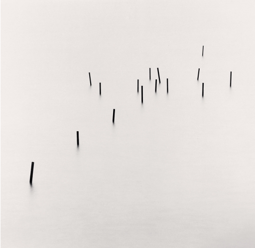 posts in water