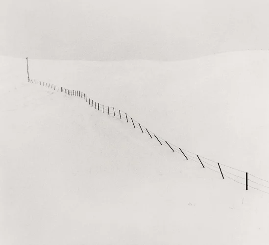 snow wire fences