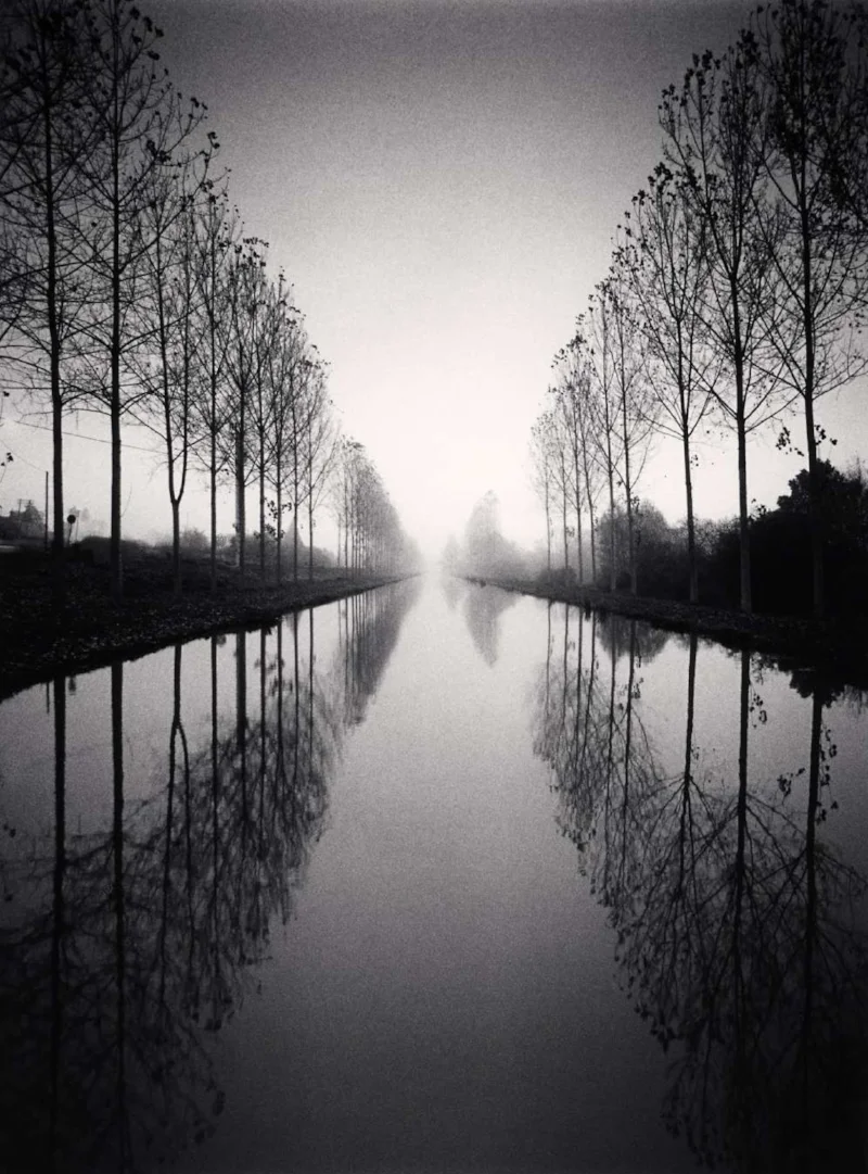 symmetrical tree lined canal