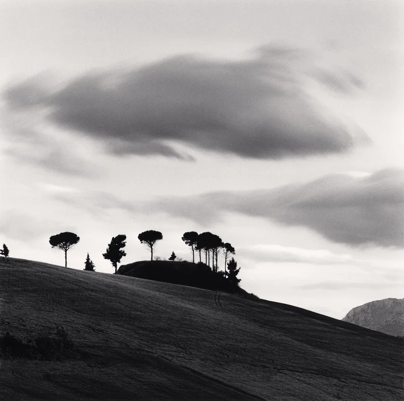 trees