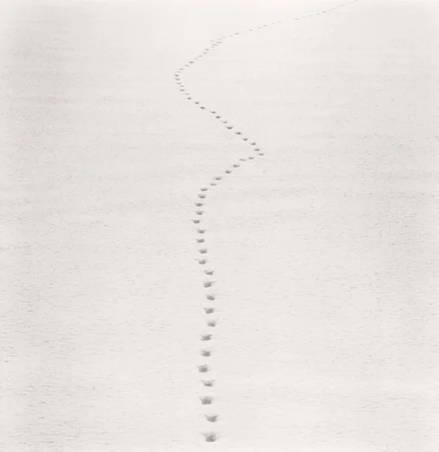 snow marks
