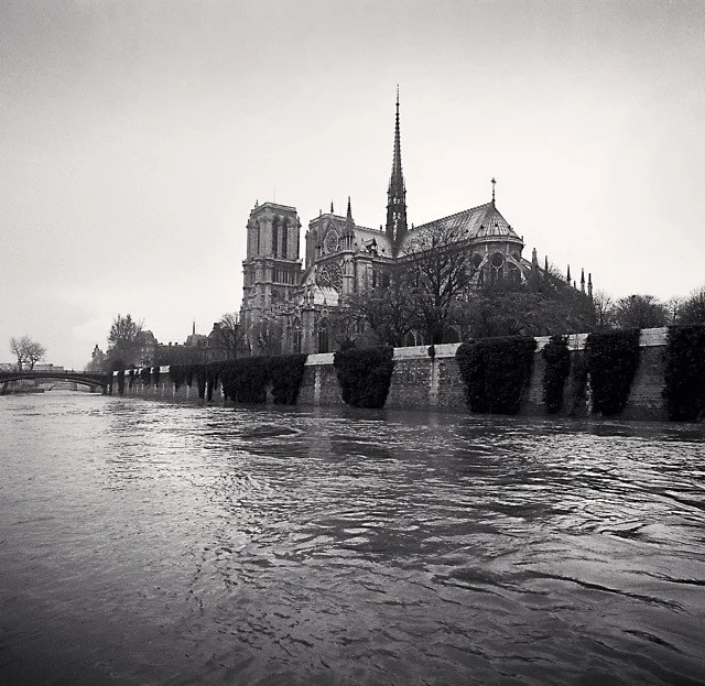 notre dam from river