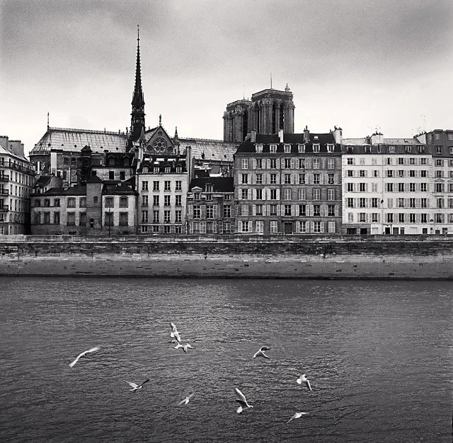 Notre Dame birds river