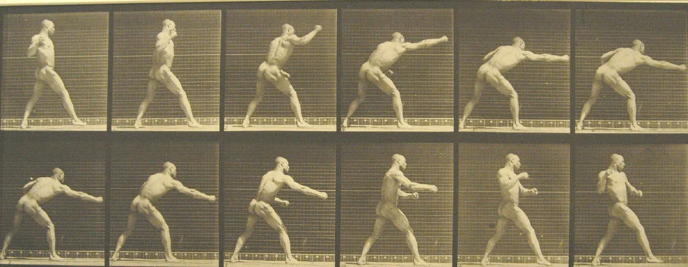 sequenced images boxer