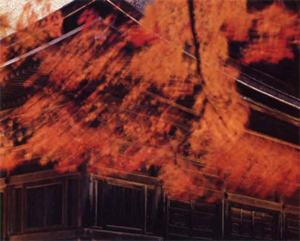 red leaves japanese building