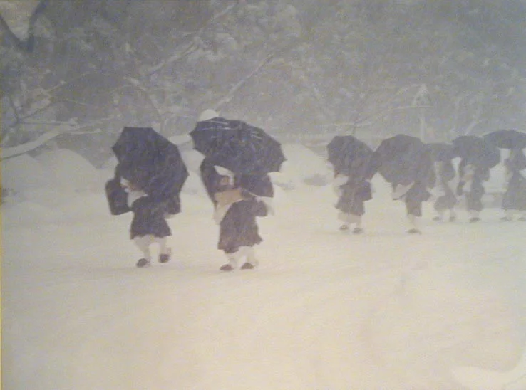 monks umbrellas trekking bad weather