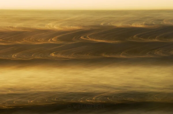 waves beach