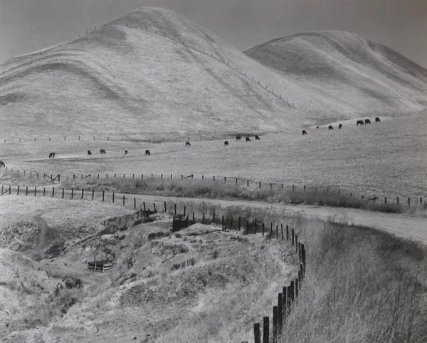 California Landscape fields met with steep hills