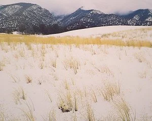 Mountain valley with yellow weeds coming through snow